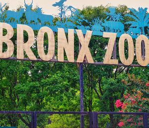 Bronx Zoo Skyward Roofing Bronx, NY